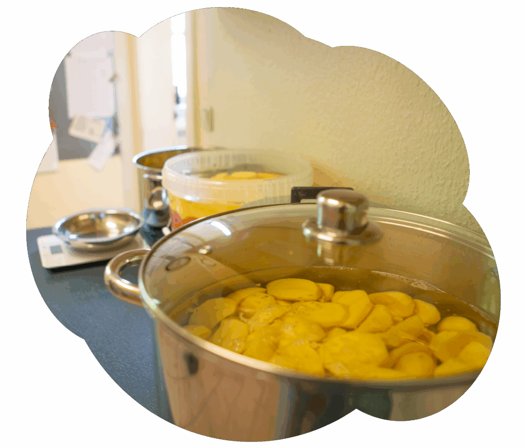 gesundes-essen-popcorn-wendland