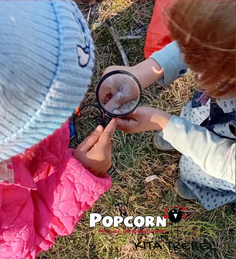 Trebel in Wald und Heide